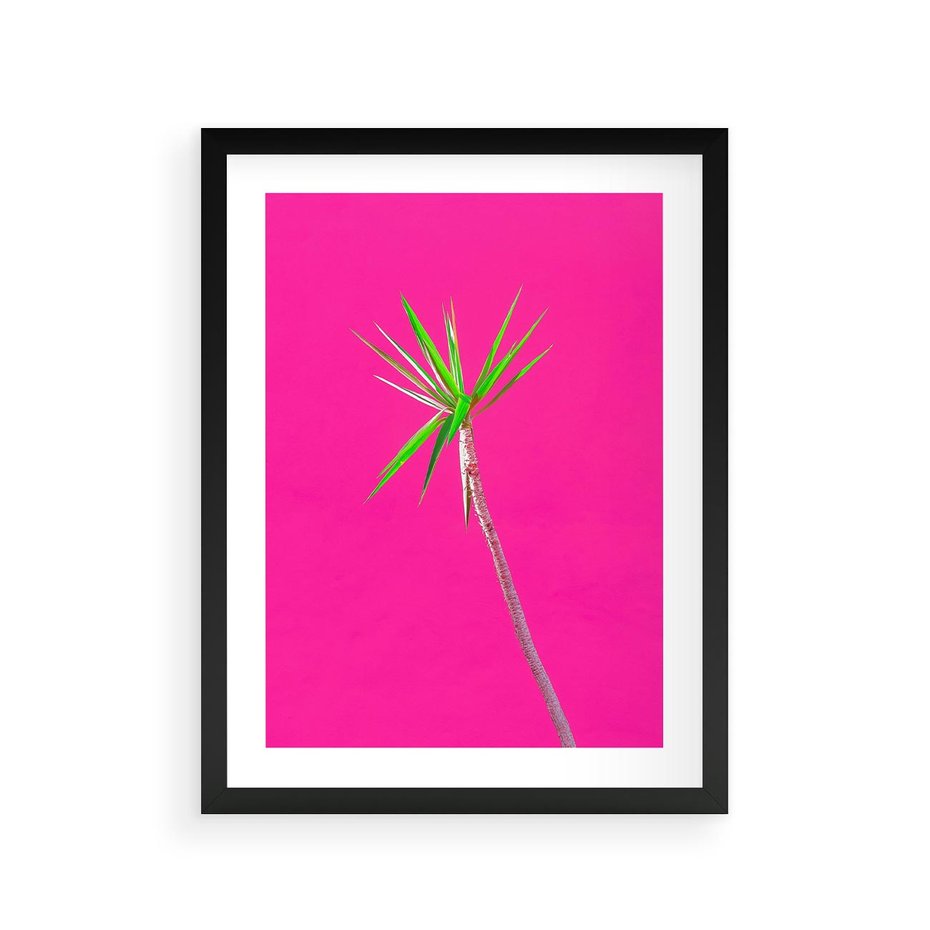 Plakat w ramie 30x40 - Retro Stylizacja - palma, liście - rama czarna