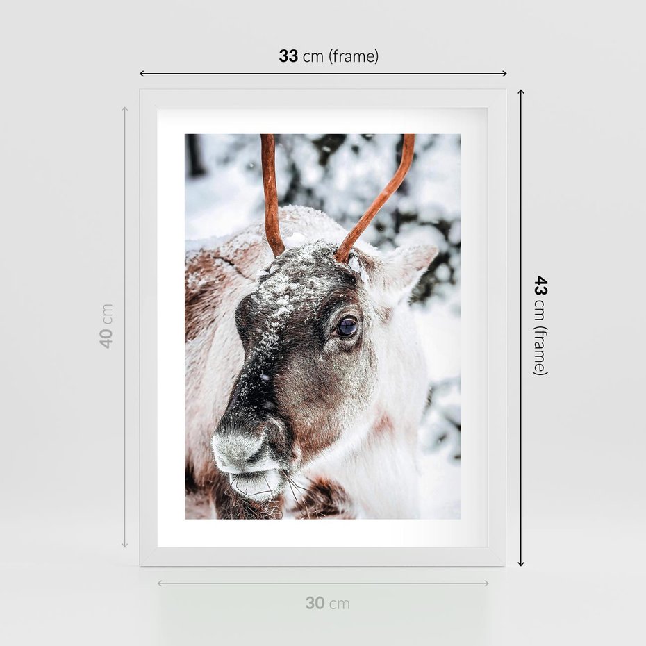 Plakat w ramie 30x40 - Renifer w Zimowej Krainie - renifer, zima - rama biała