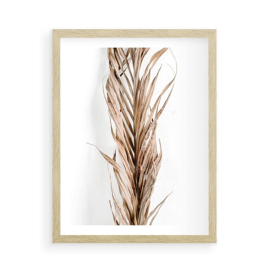Plakat w ramie 50x70 - Minimalizm Palmowy: Sucha Uroda - sucha palma, minimalizm - rama drewno