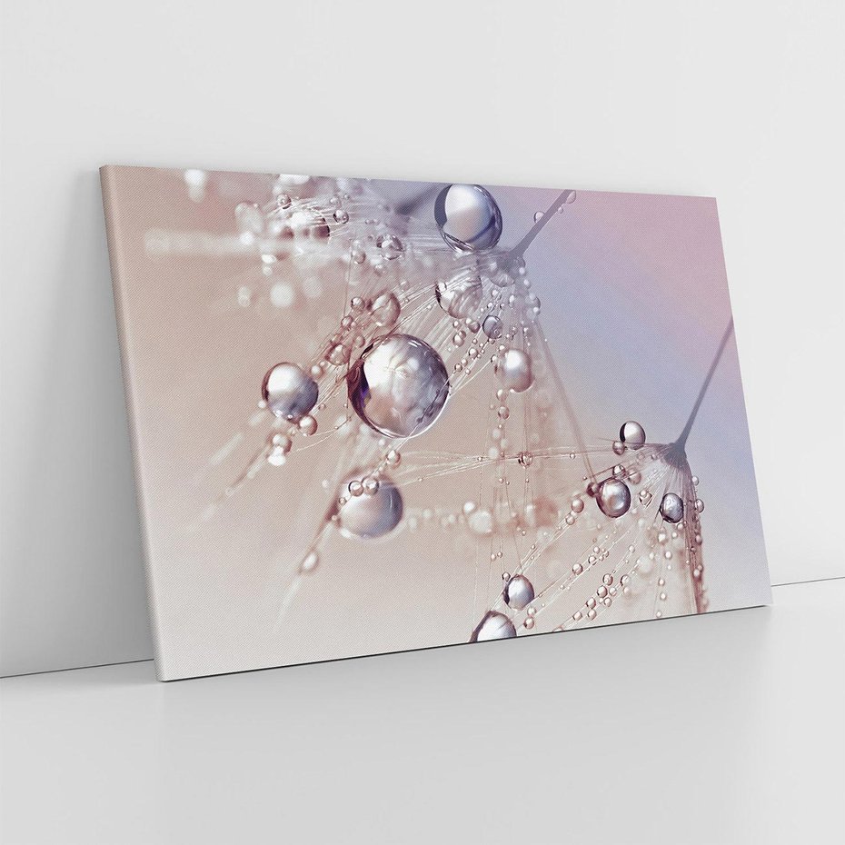 Obraz na płótnie 70x50 - Delikatne Natchnienie - krople, dmuchawce