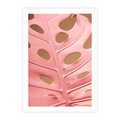 Plakat bez ramy 30x40 - Różowa monstera w pełnym rozkwicie - różowa, monstera