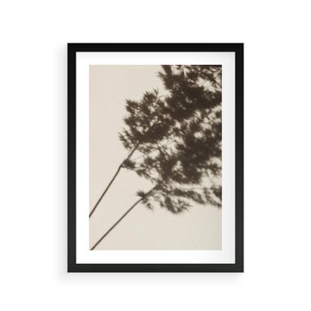 Plakat w ramie 50x70 - Tajemniczy Cień Traw - cień traw, na ścianie - rama czarna