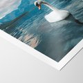 Plakat bez ramy 40x50 - Łabędzi Śpiew - fotografia, plakat