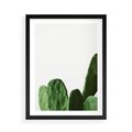 Plakat w ramie 50x70 - Minimalizm Natury - kaktus, zbliżenie - rama czarna