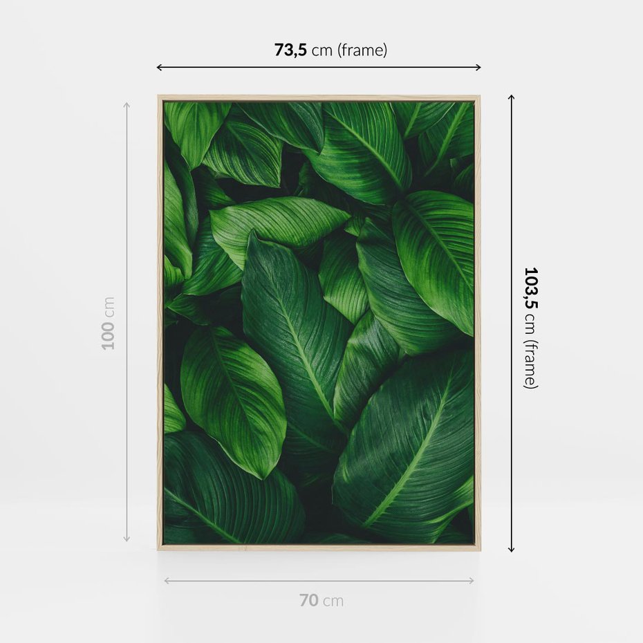 Obraz w ramie 70x100 - Palma Liście Kwiat - palma, liście - rama drewno