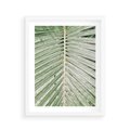 Plakat w ramie 40x50 - Jasna Zieleń Palmy - liść palmy, zbliżenie - rama biała