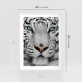 Plakat w ramie 30x40 - Magia Białego Tygrysa - biały, tygrys - rama biała