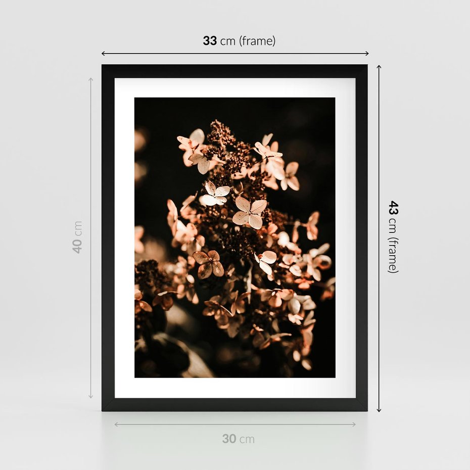 Plakat w ramie 30x40 - Hortensja - Suchy Kwiat w Sztuce - hortensja, suchy kwiat - rama czarna
