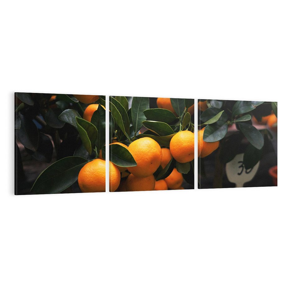 Obraz na płótnie 120x40 - Mandarynki Drzewko Urodzaju - mandarynki, drzewko
