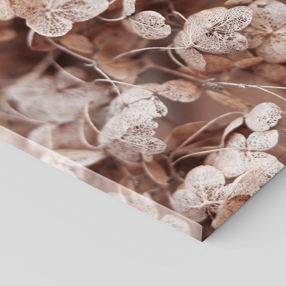 Obraz na płótnie 70x50 - Przemijająca Piękność - fotografia, zbliżenie