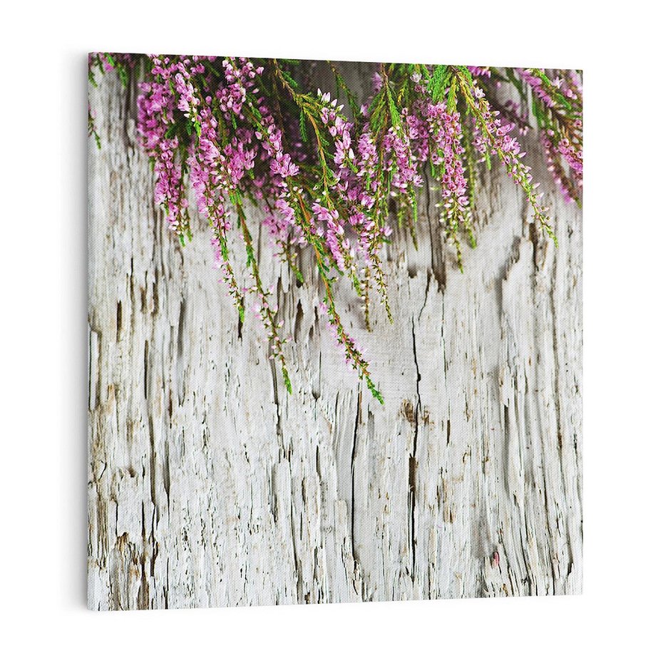 Obraz na płótnie 70x70 - Fioletowe Wrzosy - wrzosy, fiolet