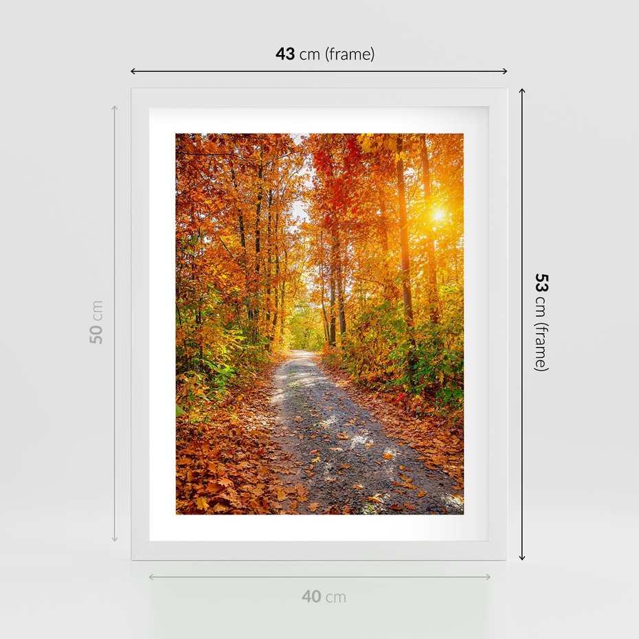 Plakat w ramie 40x50 - Kolorowe drzewa na ścieżce jesieni - las, jesień - rama biała