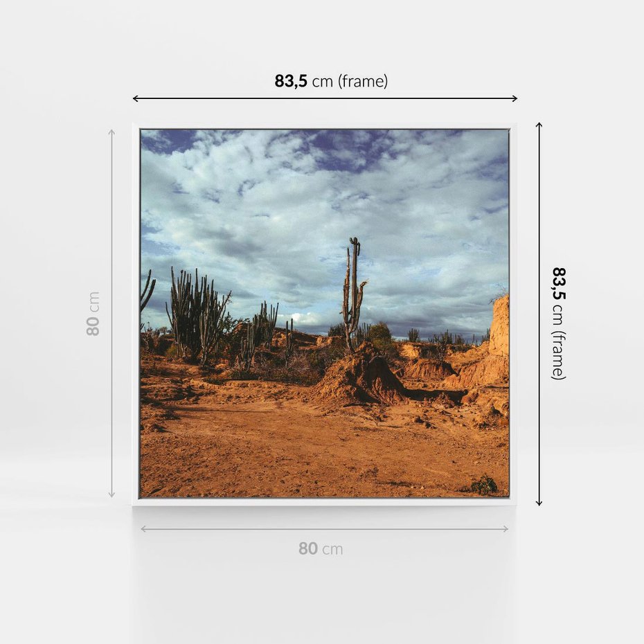 Obraz w ramie 80x80 - Skarby Pustynnego Kanionu - pustynia, kaktusy - rama biała