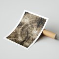 Plakat bez ramy 30x40 - Natura Pod Lupą - pień drzewa, przekrój