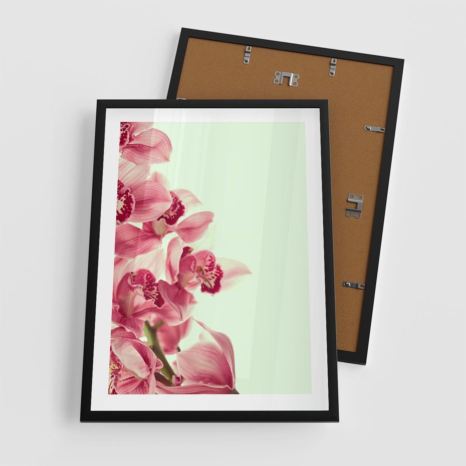 Plakat w ramie 50x70 - Orchidea - delikatne kwiaty - orchidea, kwiaty - rama czarna