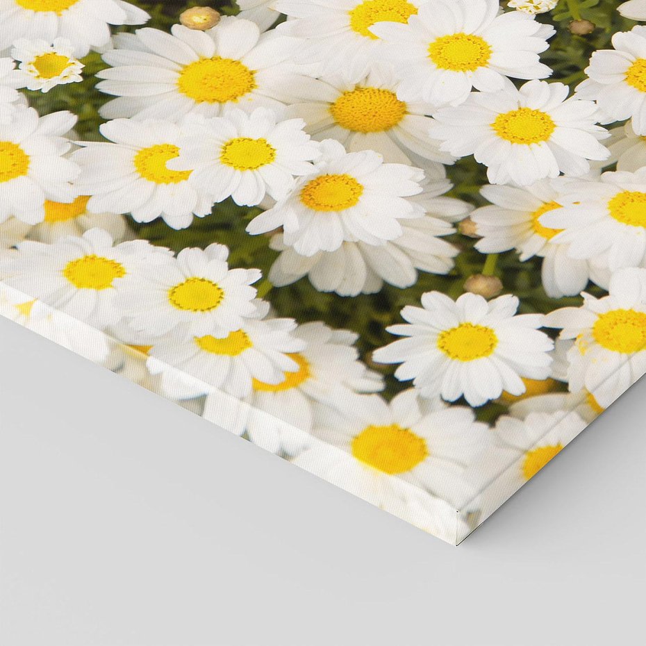 Obraz na płótnie 120x80 - Delikatność Kwiatowej Przyrody - stokrotki, kwiaty