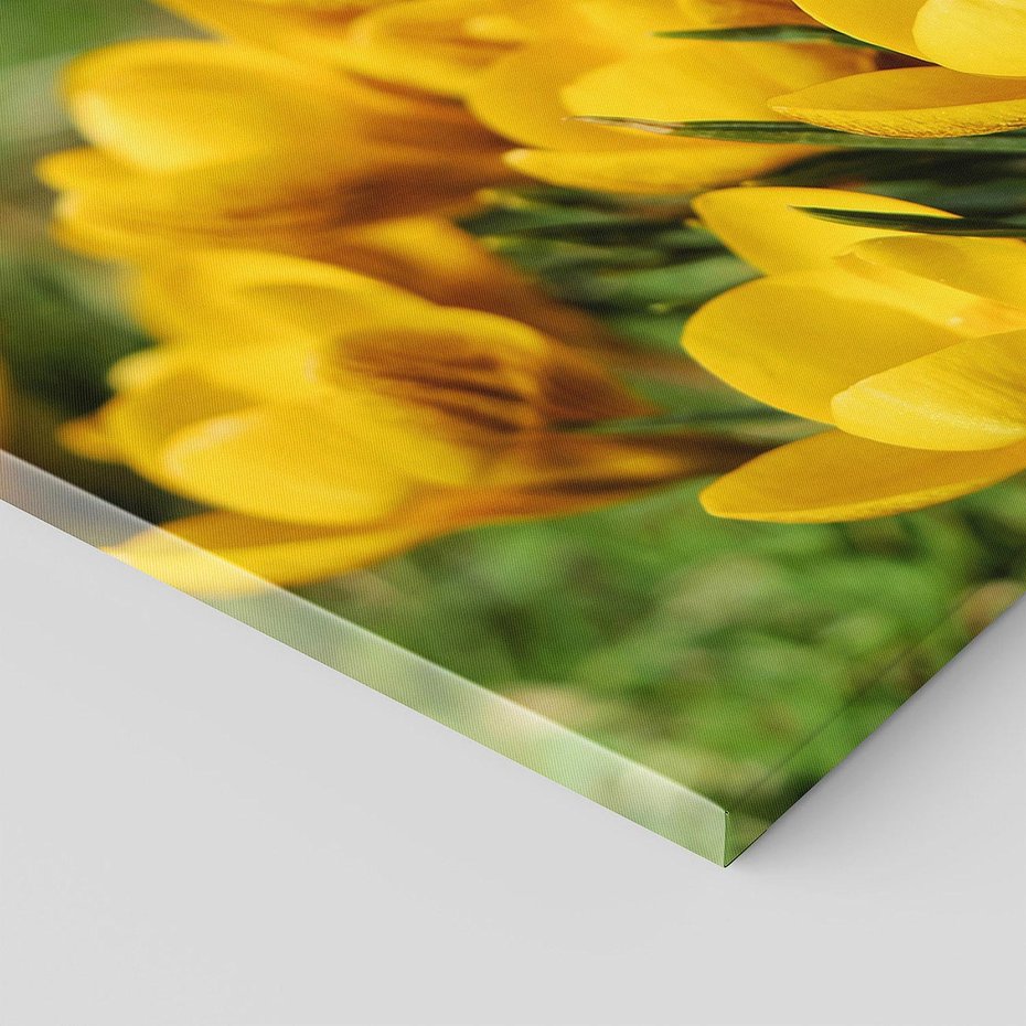 Obraz na płótnie 120x40 - Kwiatowe uniesienia natury - kwiat, kwiaty