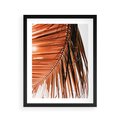 Plakat w ramie 40x50 - Słońce na Palmie - palma, promienie słońca - rama czarna