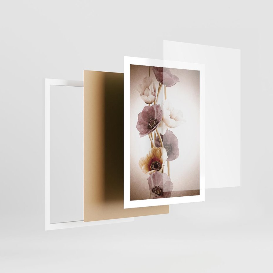 Plakat w ramie 50x70 - Eksplozja kolorów - akwarela, maki - rama biała