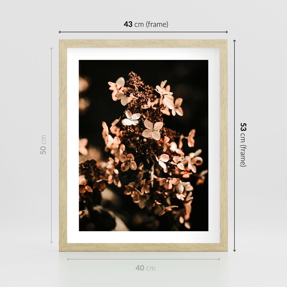 Plakat w ramie 40x50 - Hortensja - Suchy Kwiat w Sztuce - hortensja, suchy kwiat - rama drewno