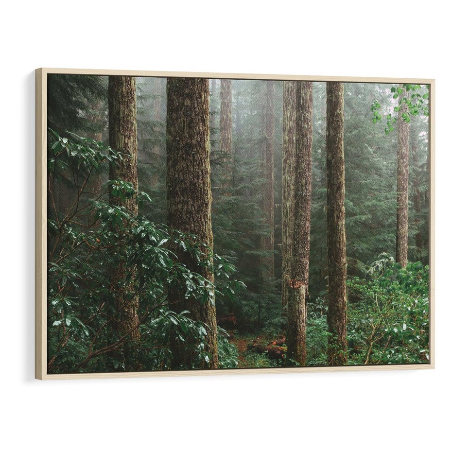 Obraz w ramie 70x50 - Mgliste Marzenia - artystyczna fotografia, las - rama drewno