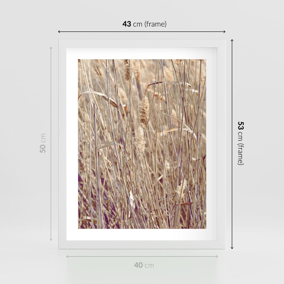 Plakat w ramie 40x50 - Suche Trawy w Wyjątkowym Stylu - suche trawy, boho styl - rama biała