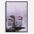 Obraz w ramie 70x100 - Spotkanie Wśród Piór - uchwycony moment, fotografia - rama czarna