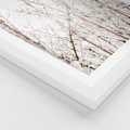 Plakat w ramie 30x40 - Szron na Gałęziach - ośnieżone gałązki, szron na gałęziach - rama biała