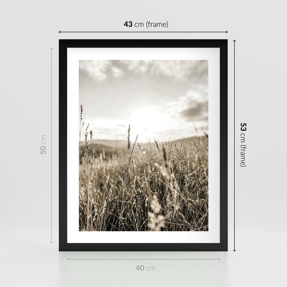 Plakat w ramie 40x50 - Łąka w Klimacie Sepii - suche trawy, łąka - rama czarna