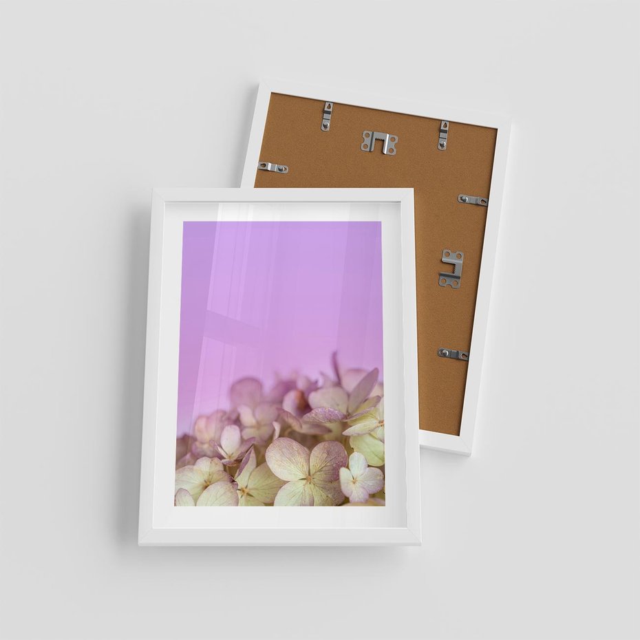 Plakat w ramie 30x40 - Kwiatowa Uroda - kwiaty, hortensje - rama biała