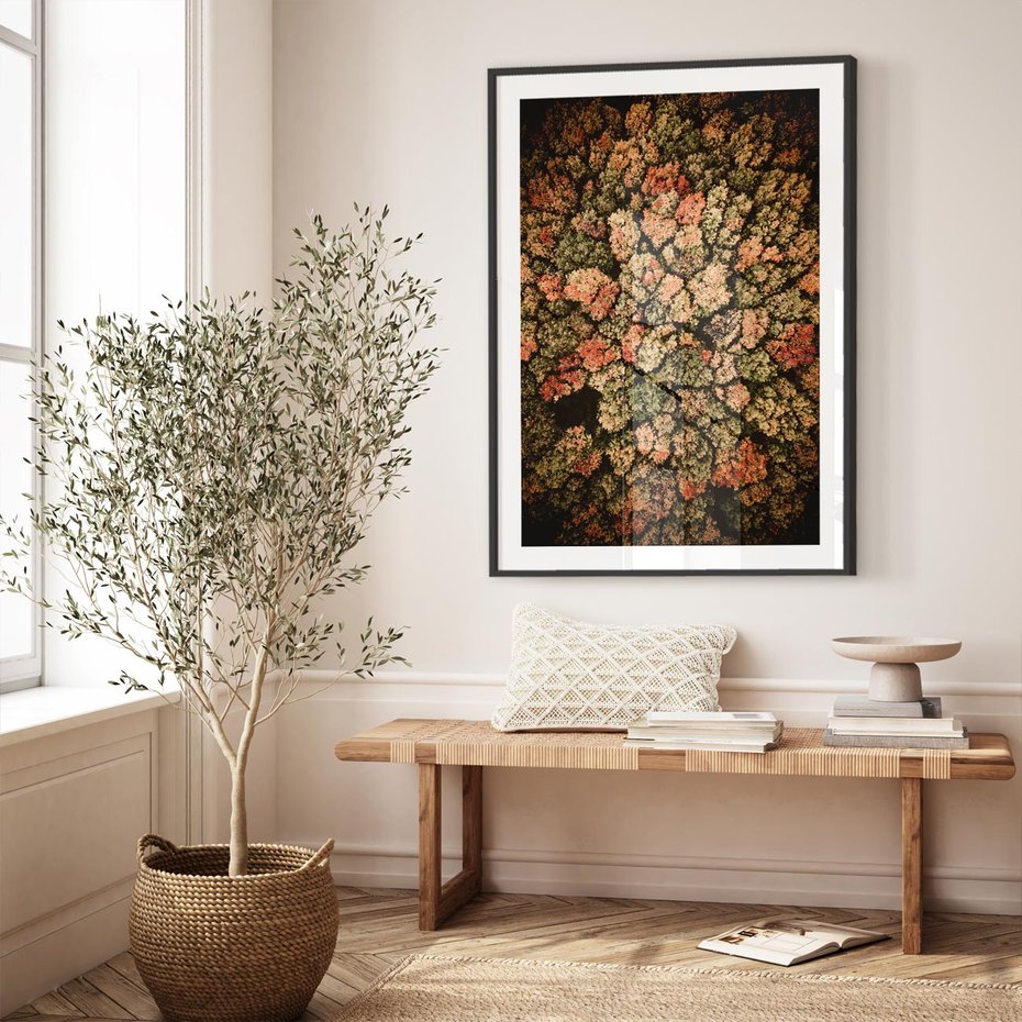 Plakat bez ramy 21x30 - Jesień z Lotu Ptaka: Malowniczy Las - las jesienią z lotu ptaka