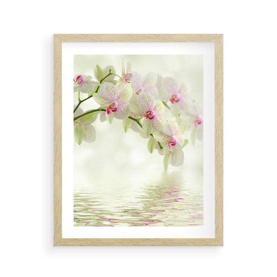 Plakat w ramie 40x50 - Orchidea w Spa - orchidea, kwiaty - rama drewno
