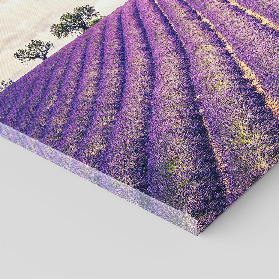 Obraz na płótnie 100x70 - Uroda Lawendy: Kwiatowy Cud Natury - lawenda, kwiaty