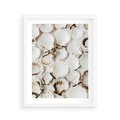 Plakat w ramie 40x50 - Białe Muszle - białe muszle, ujęcie z góry - rama biała