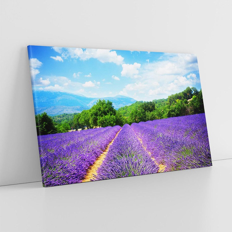 Obraz na płótnie 120x80 - Prowansalska Lawenda - lawenda, prowansja