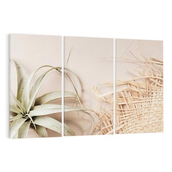 Obraz na płótnie 120x80 - Boho urok suchych liści - suche, liście