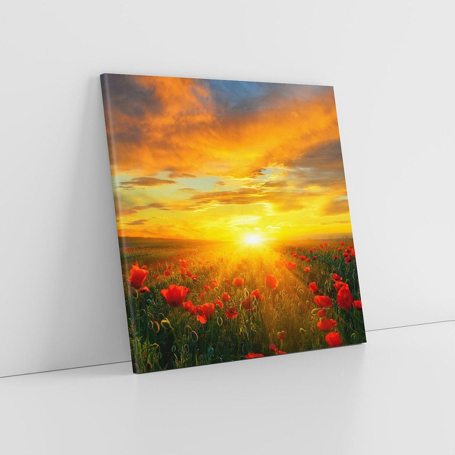 Obraz na płótnie 40x40 - Magia zachodu słońca na łące z makami - łąka, zachód słońca