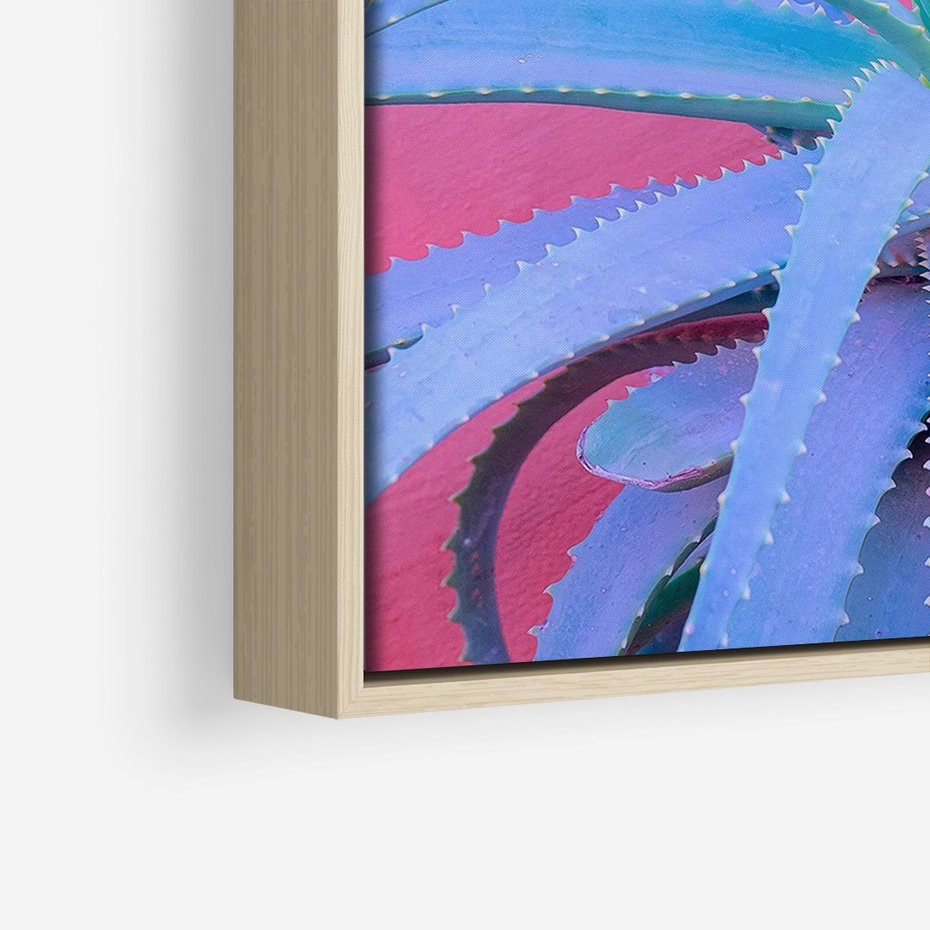 Obraz w ramie 50x70 - Piękno Pustyni - kaktusy, liście - rama drewno