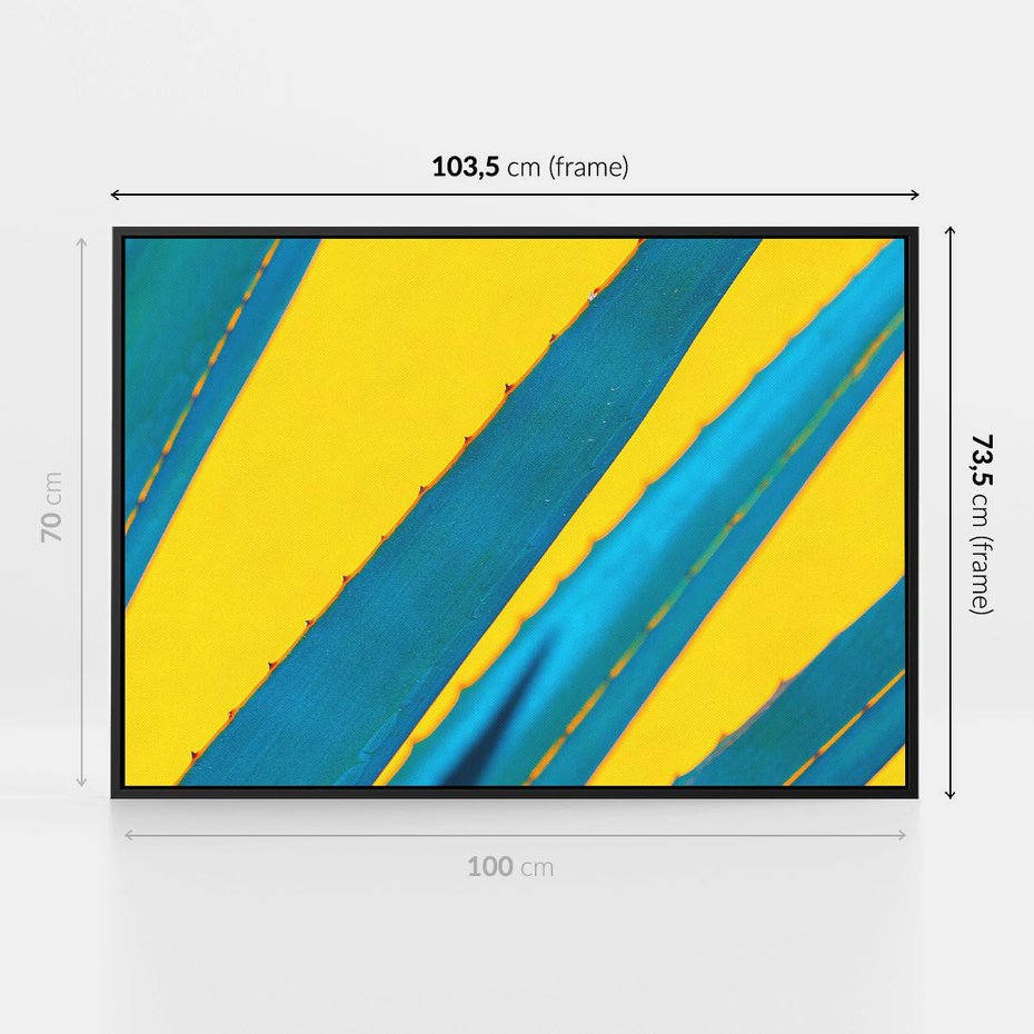 Obraz w ramie 100x70 - Świeżość Natury - aloes, liście - rama czarna