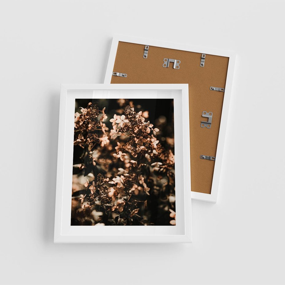 Plakat w ramie 40x50 - Sucha Kompozycja Kwiatów - suche kwiaty hortensji - rama biała