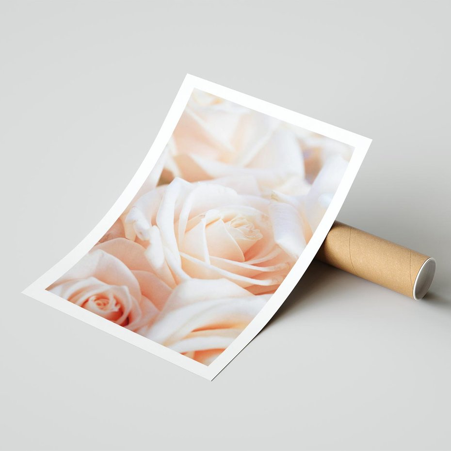 Plakat bez ramy 21x30 - Aromatyczna Piękność - płatki herbacianej róży, kwiaty