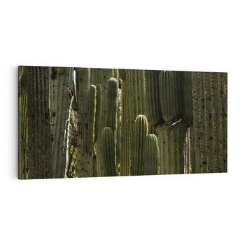 Obraz na płótnie 120x60 - Wyjątkowy Klimat Boho - kaktusy, pustynia