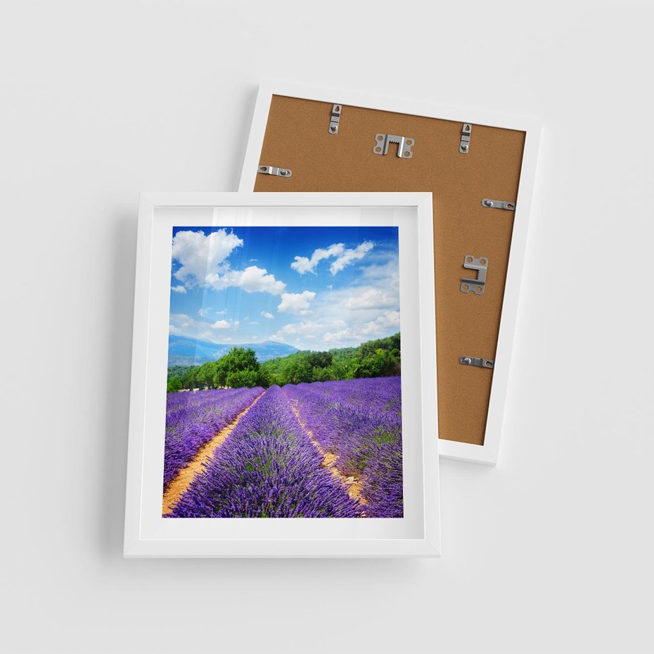 Plakat w ramie 40x50 - Prowansalska Lawenda - lawenda, prowansja - rama biała