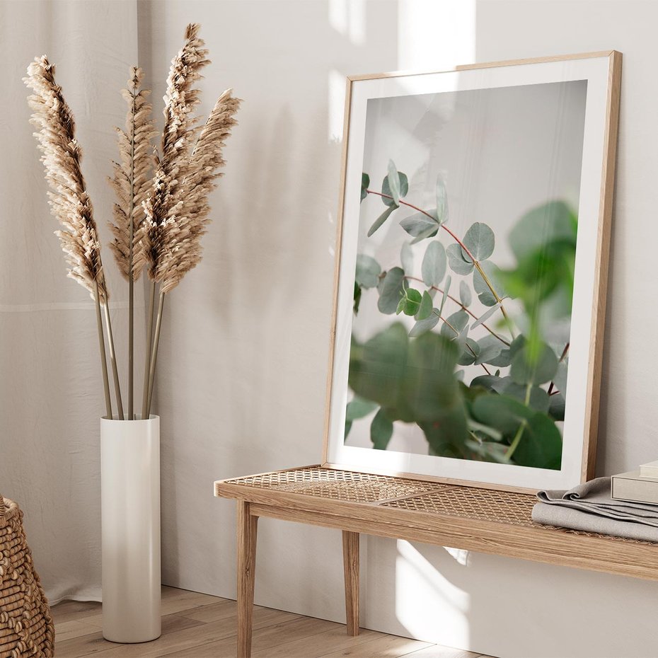 Plakat w ramie 30x40 - Liście eukaliptusa w naturze - eukaliptus, liście - rama drewno