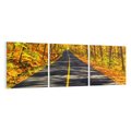 Obraz na płótnie 150x50 - Droga przez jesienny las - droga, las