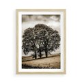 Plakat w ramie 50x70 - Spokojna Osamotniona Chwila - beżowe kolory, samotne drzewo na polu - rama drewno