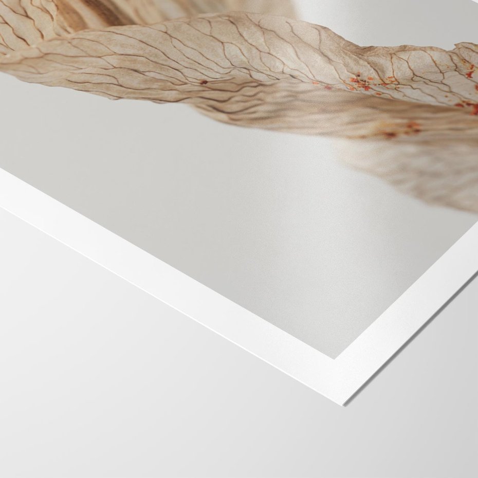 Plakat bez ramy 21x30 - Suszone piękno - susz, suche