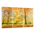 Obraz na płótnie 120x80 - Jesień w Lesie: Urok Lasu - jesień, las