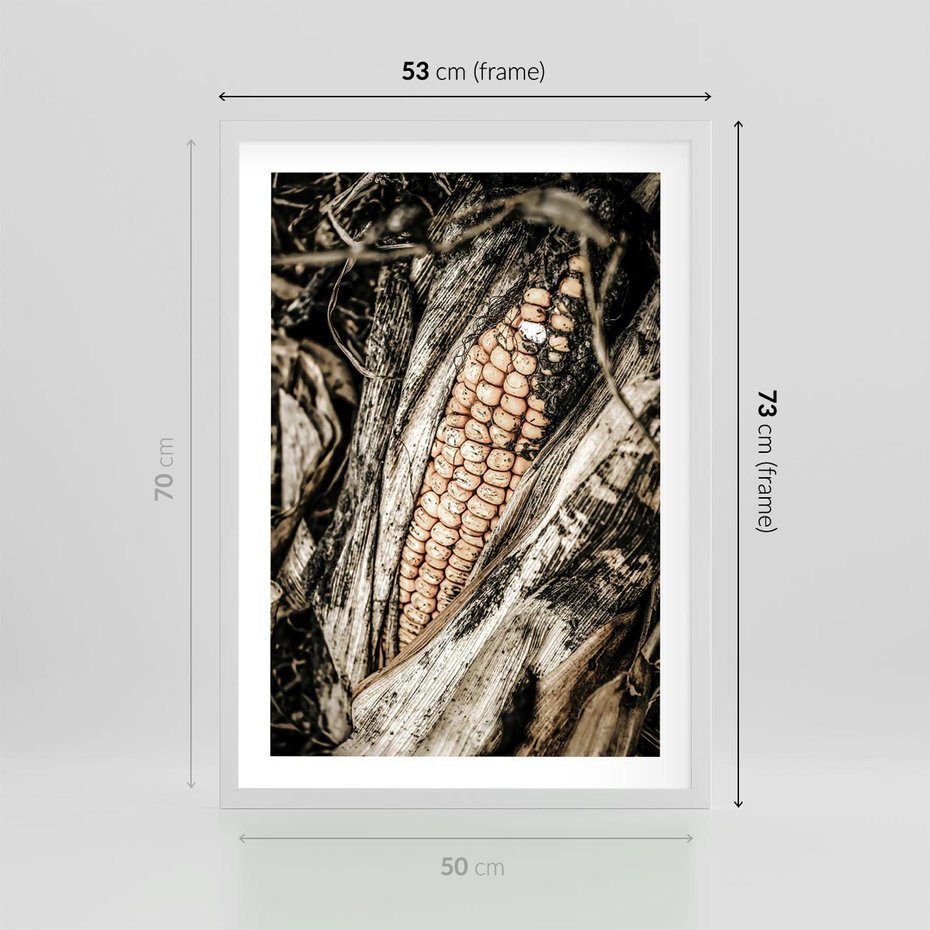 Plakat w ramie 50x70 - Kukurydza w Jesiennej Scenie - kukurydza, jesień - rama biała