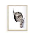 Plakat w ramie 30x40 - Tajemniczy kot i jego świat - kot, dziura - rama drewno